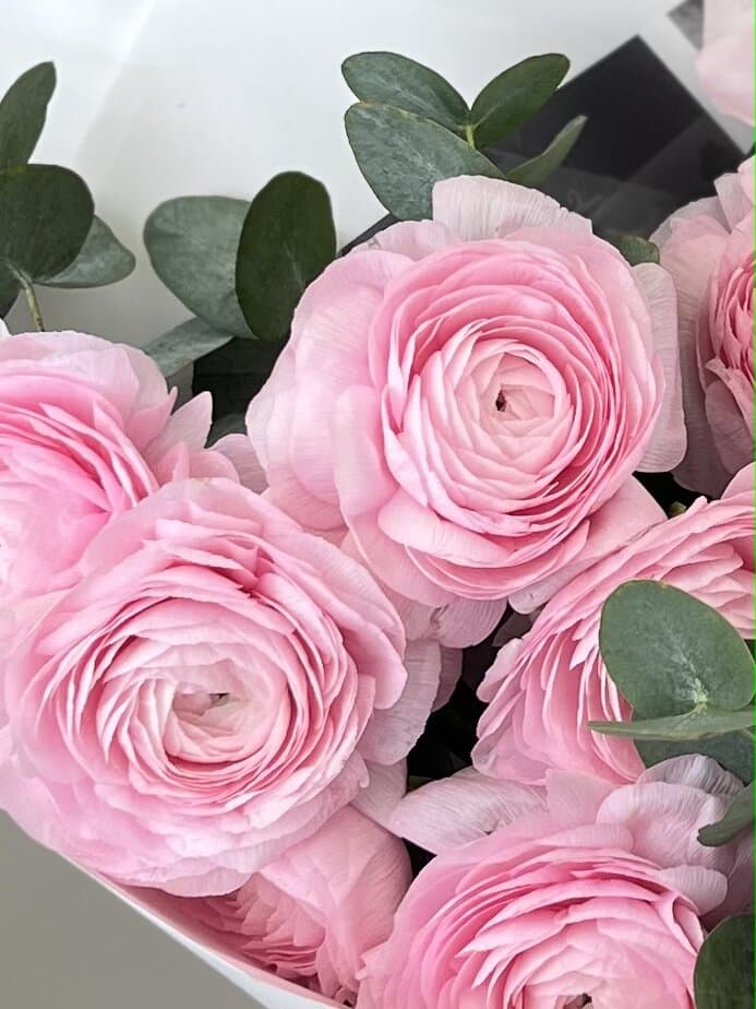 Букет из 15 ранункулюсов "Леди"