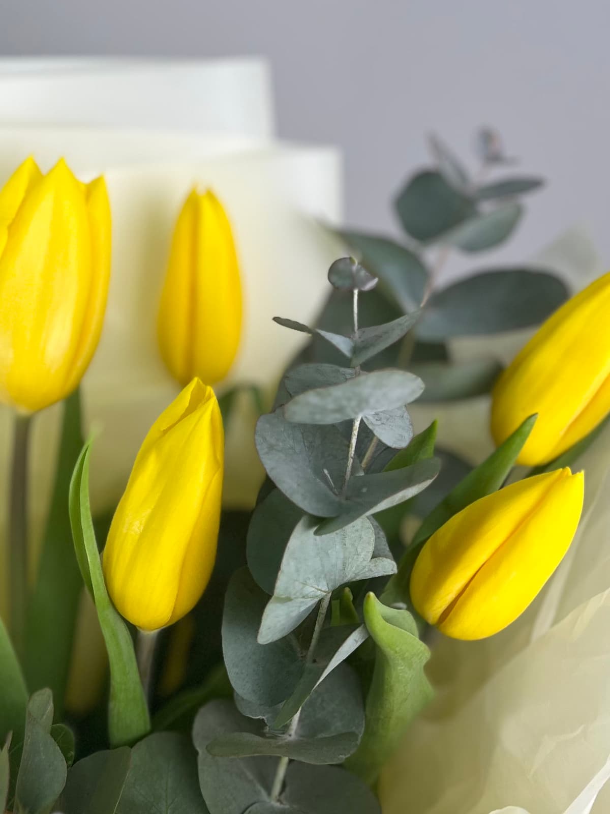 Букет из 15 желтых тюльпанов в фирменной упаковке