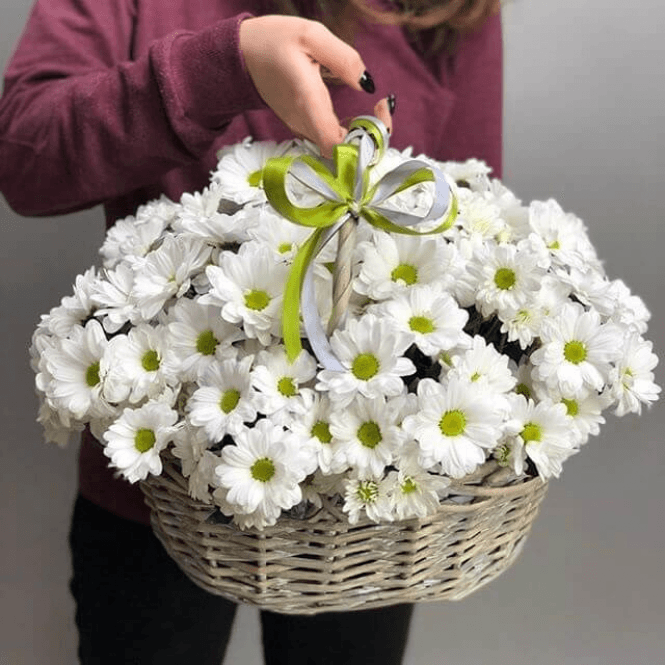 Красочный букет из 19 Хризантем в корзине (цвет на выбор)