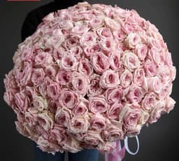 Букет из 201 Пионовидной Розы pink O’Hara