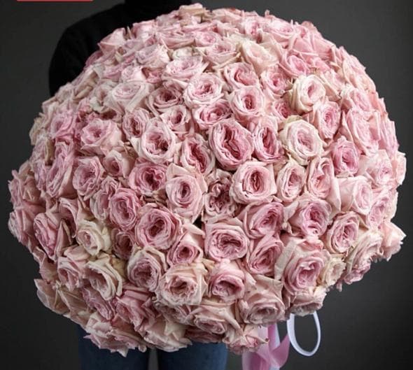 Букет из 201 Пионовидной Розы pink O’Hara Букет из 201 Пионовидной Розы pink O’Hara