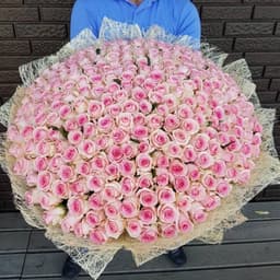 Букет из 201 розовой Розы Эквадор в сизале 60 см