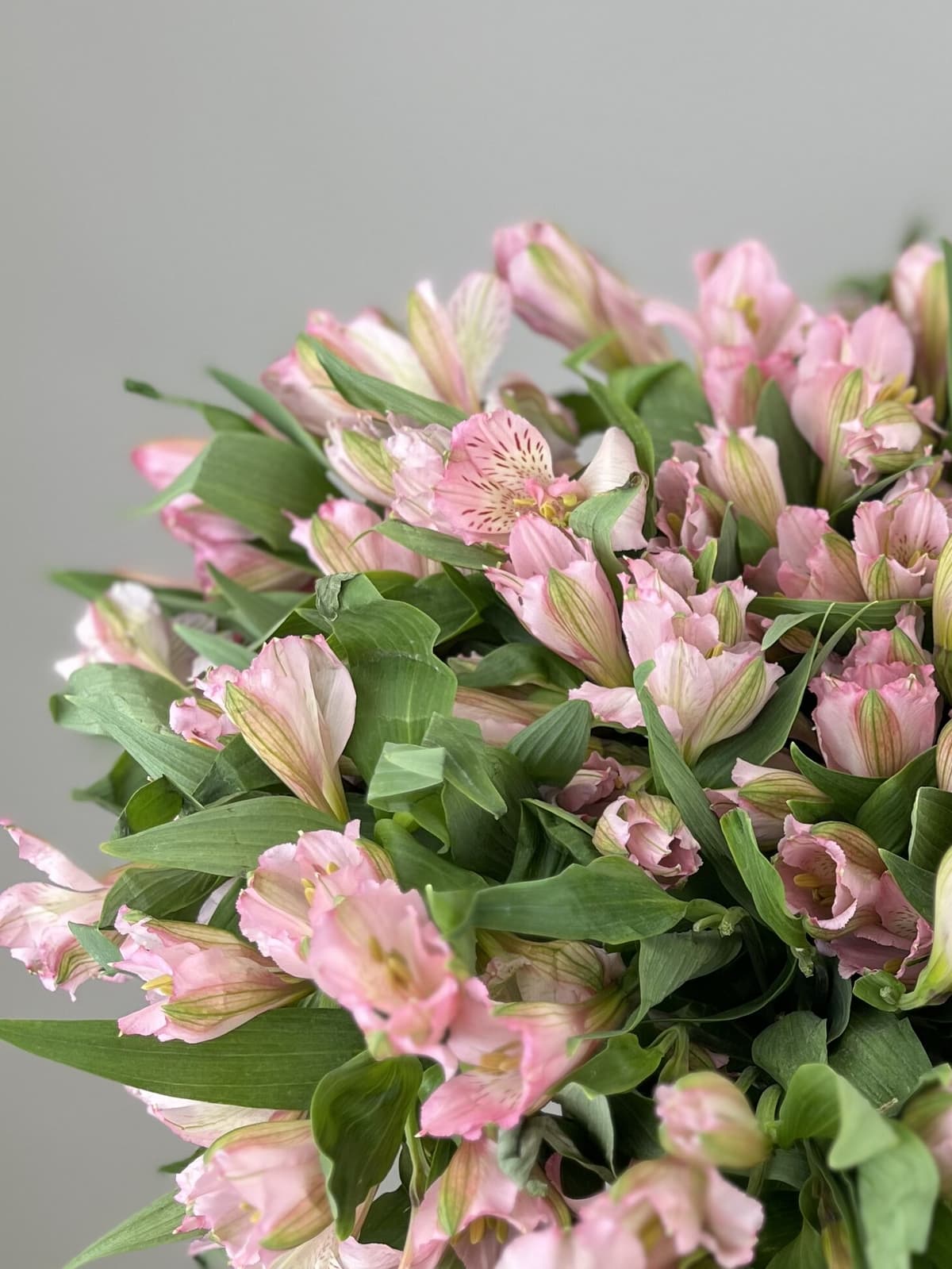 Весенний букет из 25 альстромерий "Элегантность"