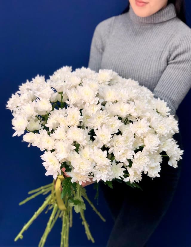 Нежный букет из 25 кустовых хризантем Нежный букет из 25 кустовых хризантем