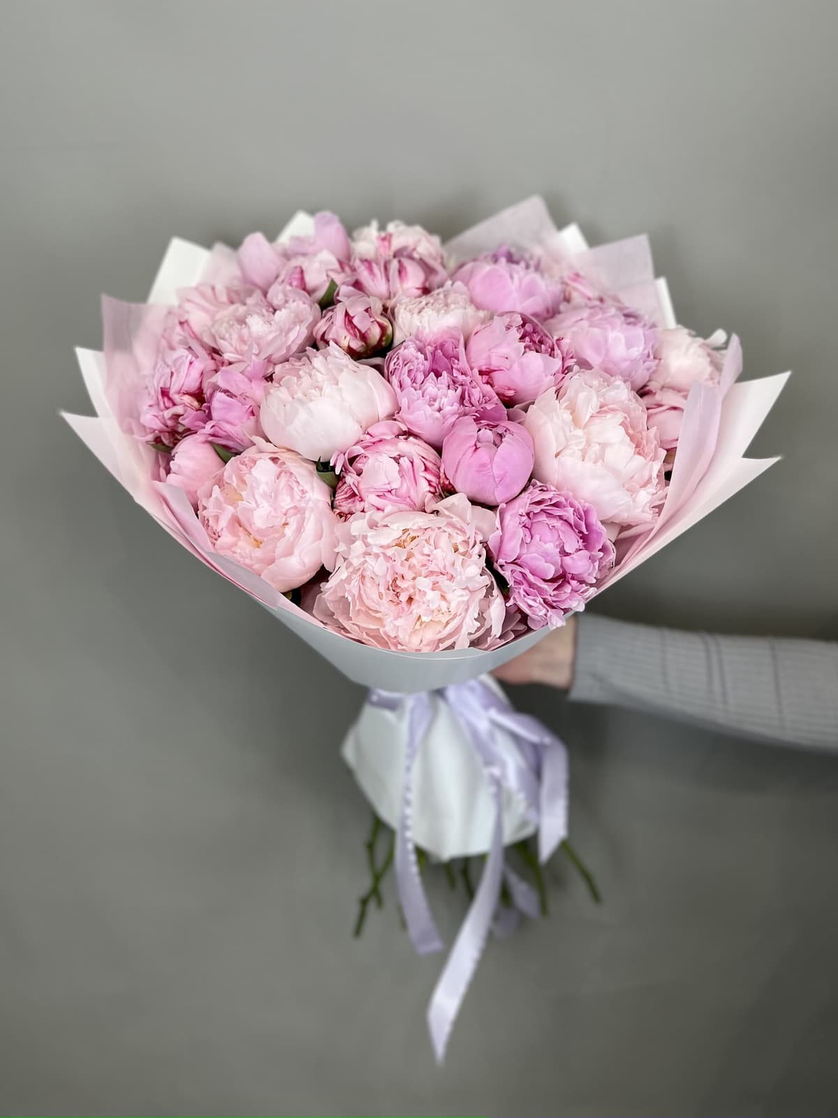 Красивый букет из 25 Пионов "Сара Бернар"