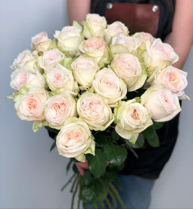 Букет из 25 Пионовидных Роз "Вайт Охара" Букет из 25 Пионовидных Роз "Вайт Охара"