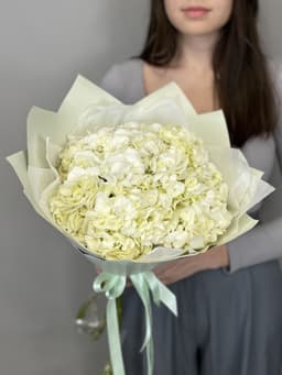 Букет из 3 белых гортензий