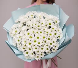 Стильный букет из 31 кустовой хризантемы в матовой бумаге (цвет на выбор)