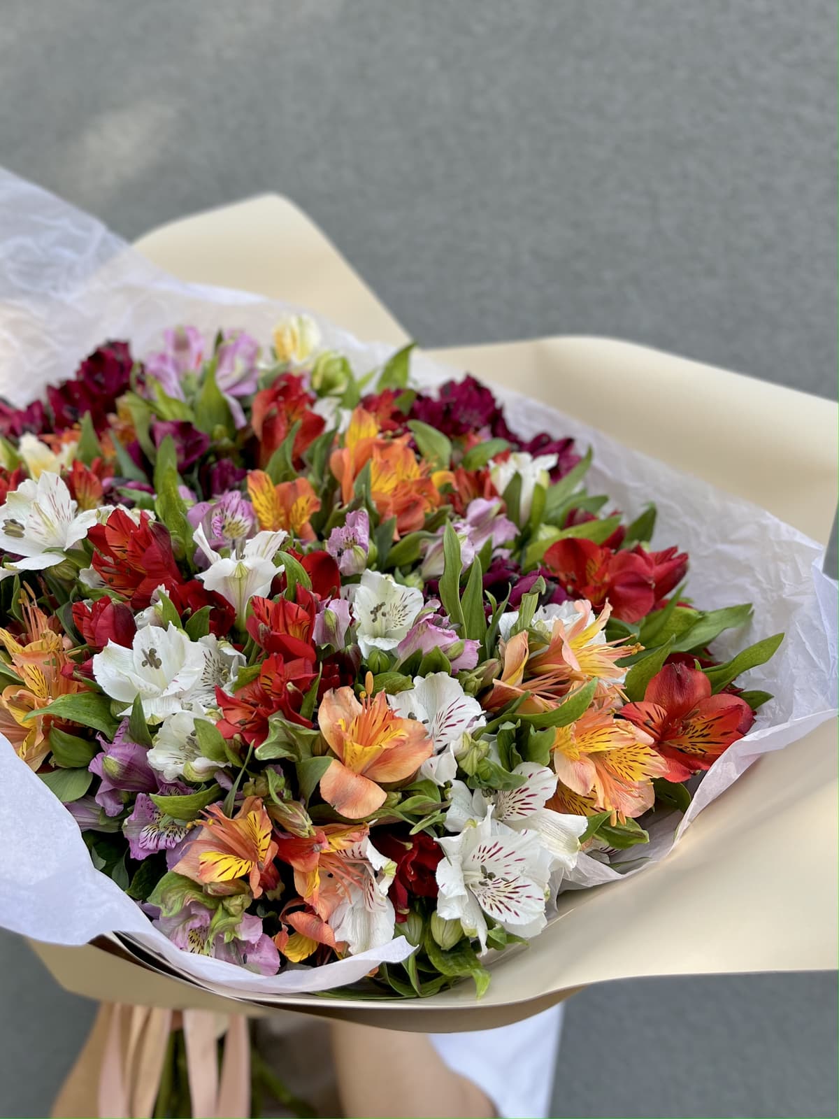 Праздничный букет из 35 Альстромерий микс в матовой бумаге