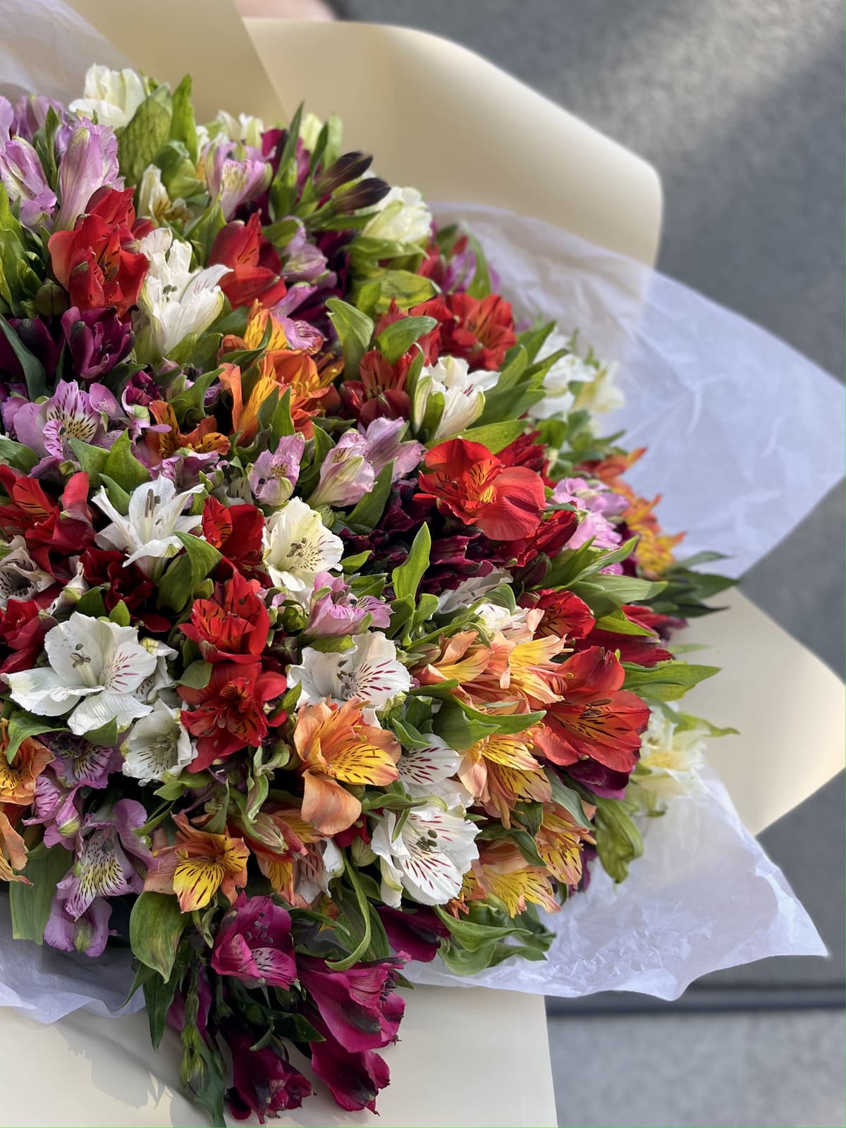 Роскошный букет из 35 Альстромерий микс