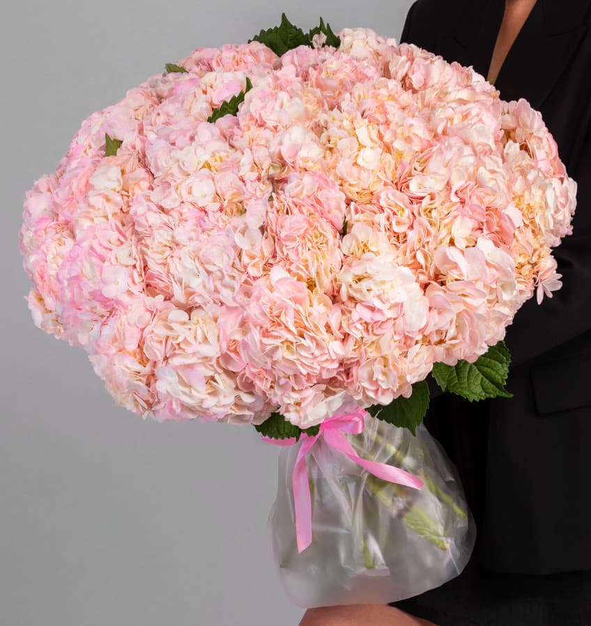 Стильный букет из 45 Гортензий в матовой бумаге