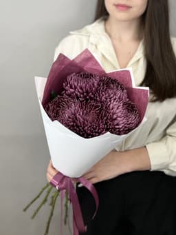 Букет из 5 фиолетовых хризантем Bigoudi