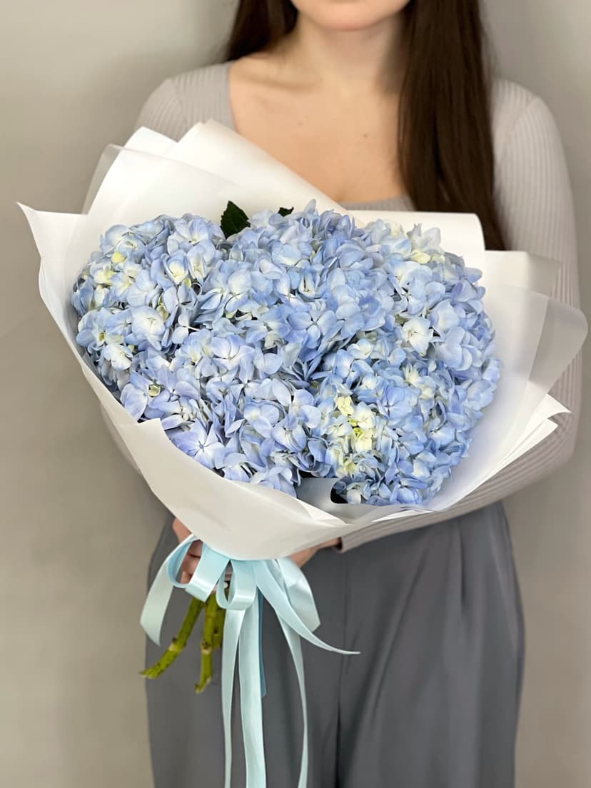 Гортензия Гортензия