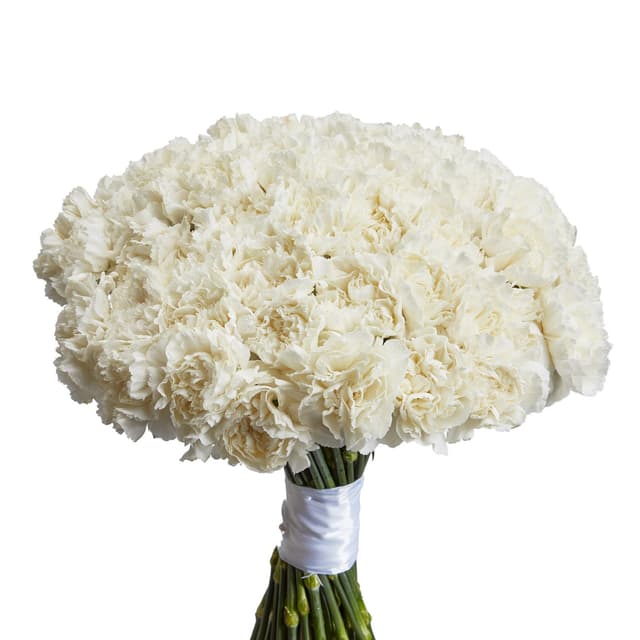 Дизайнерский букет из 51 белого диантуса Дизайнерский букет из 51 белого диантуса