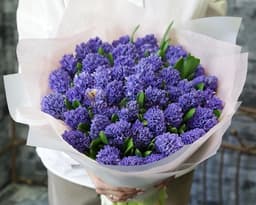 Букет из 51 Гиацинта в матовой бумаге
