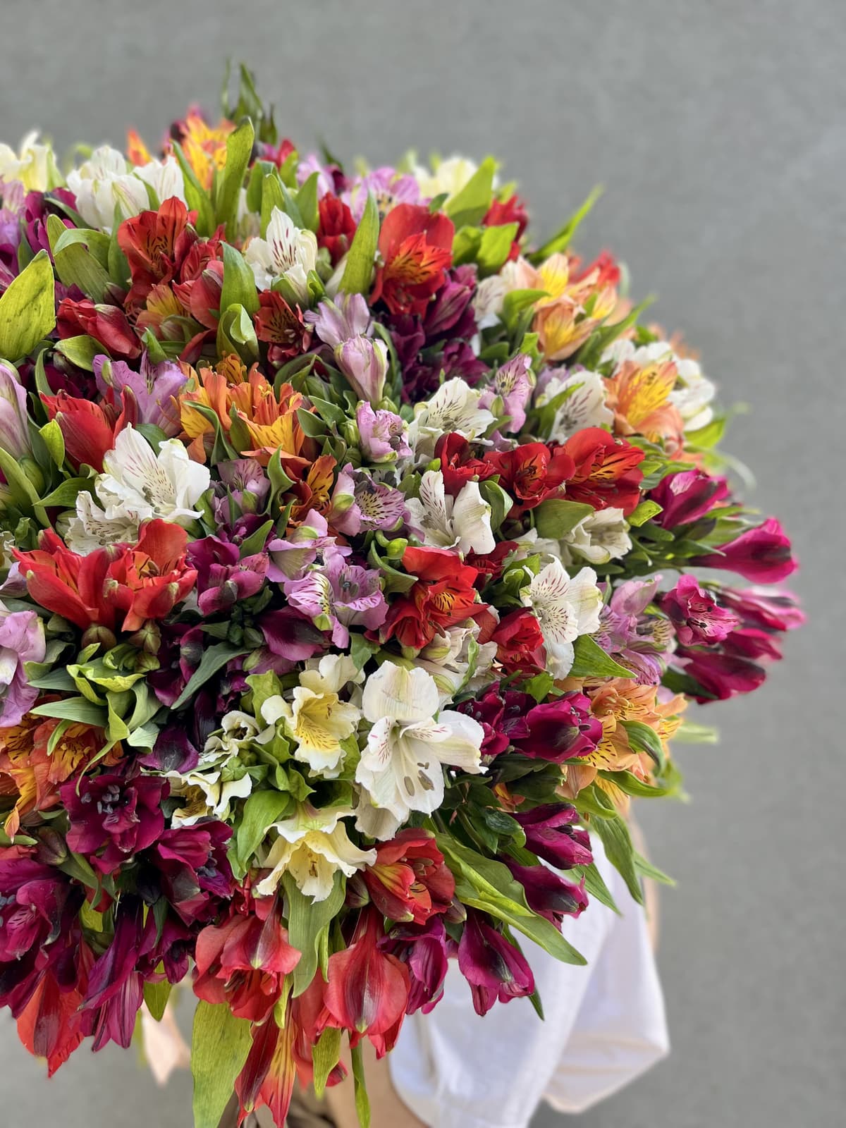 Классический букет из 55 Альстромерий микс