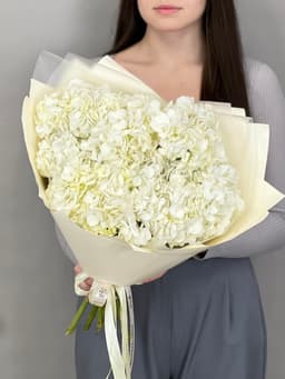 Букет из 7 белых гортензий