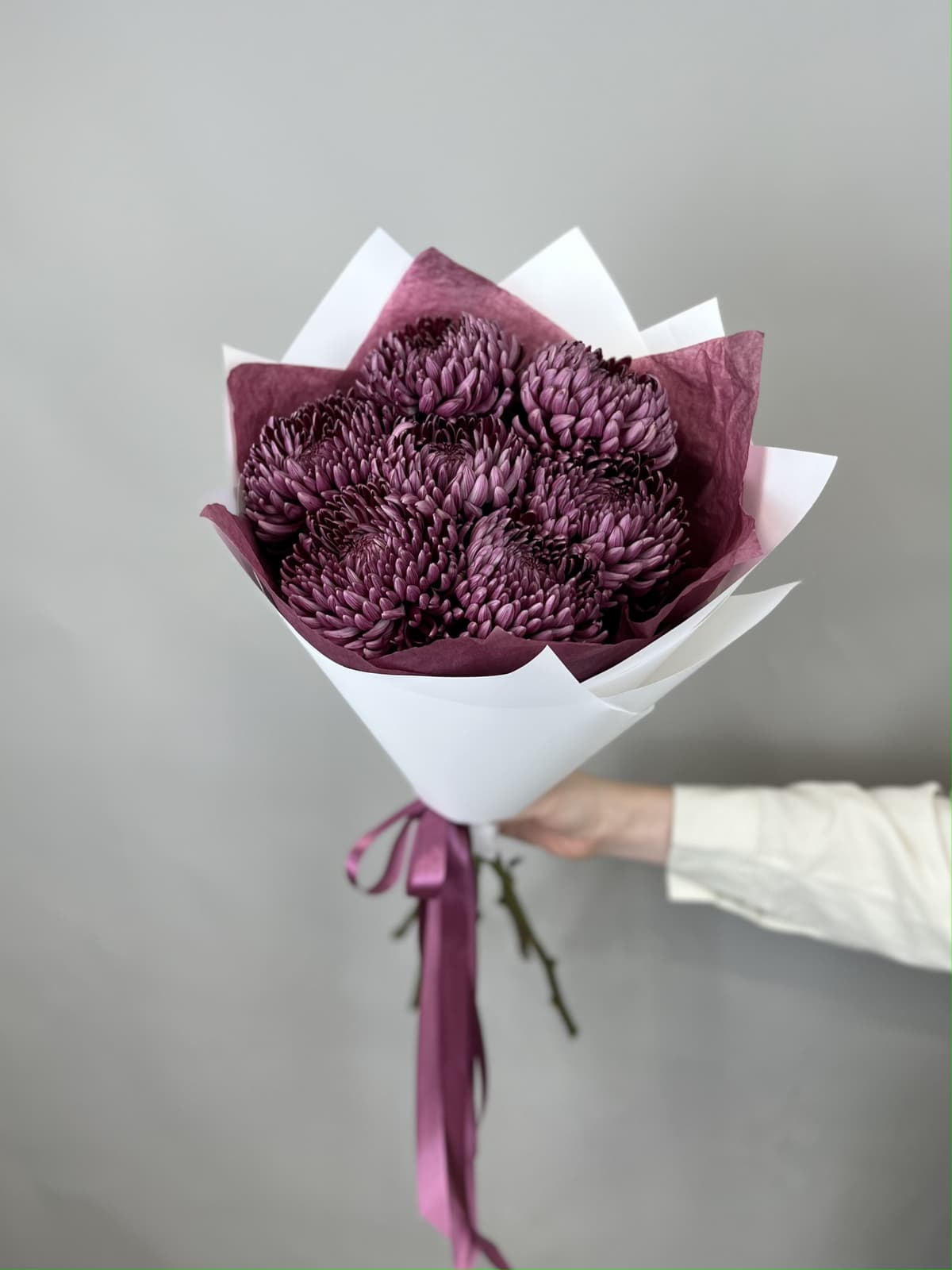 Букет из 7 фиолетовых хризантем Bigoudi