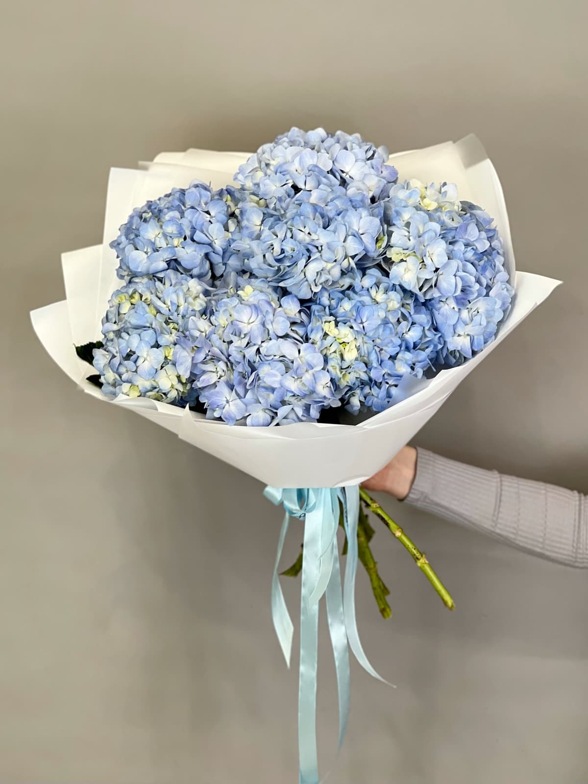 Букет из 7 голубых гортензий