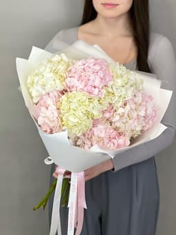 Букет из 7 гортензий "Blush"