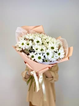 Весенний букет из 7 Хризантем Бакарди в матовой упаковке