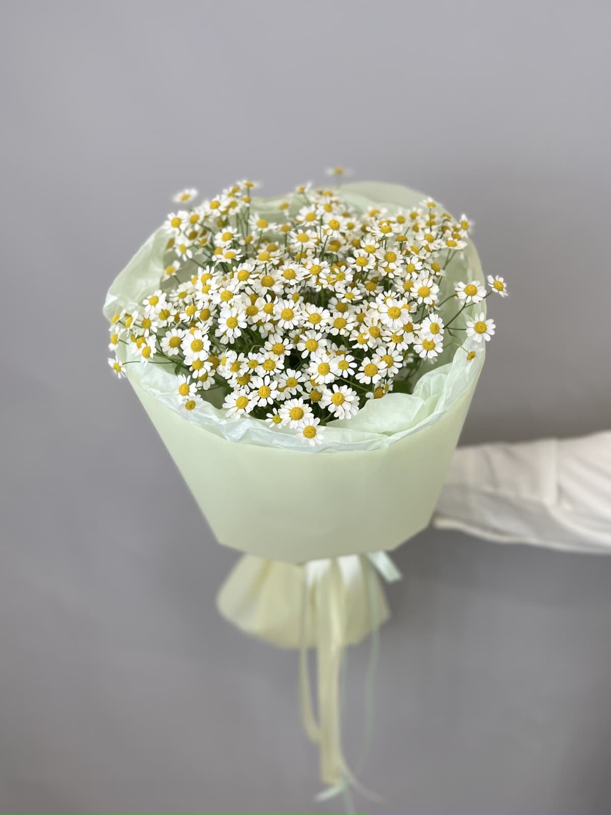 Праздничный букет из 7 полевых ромашек