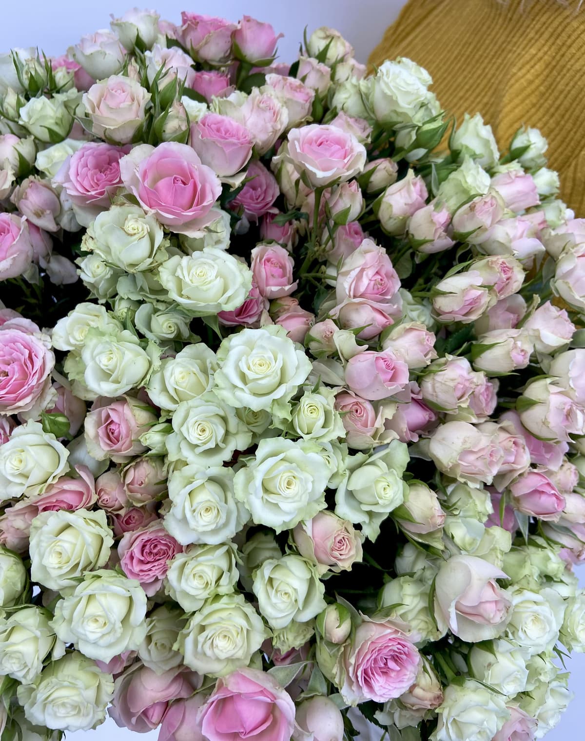 Классический букет из 75 кустовых роз