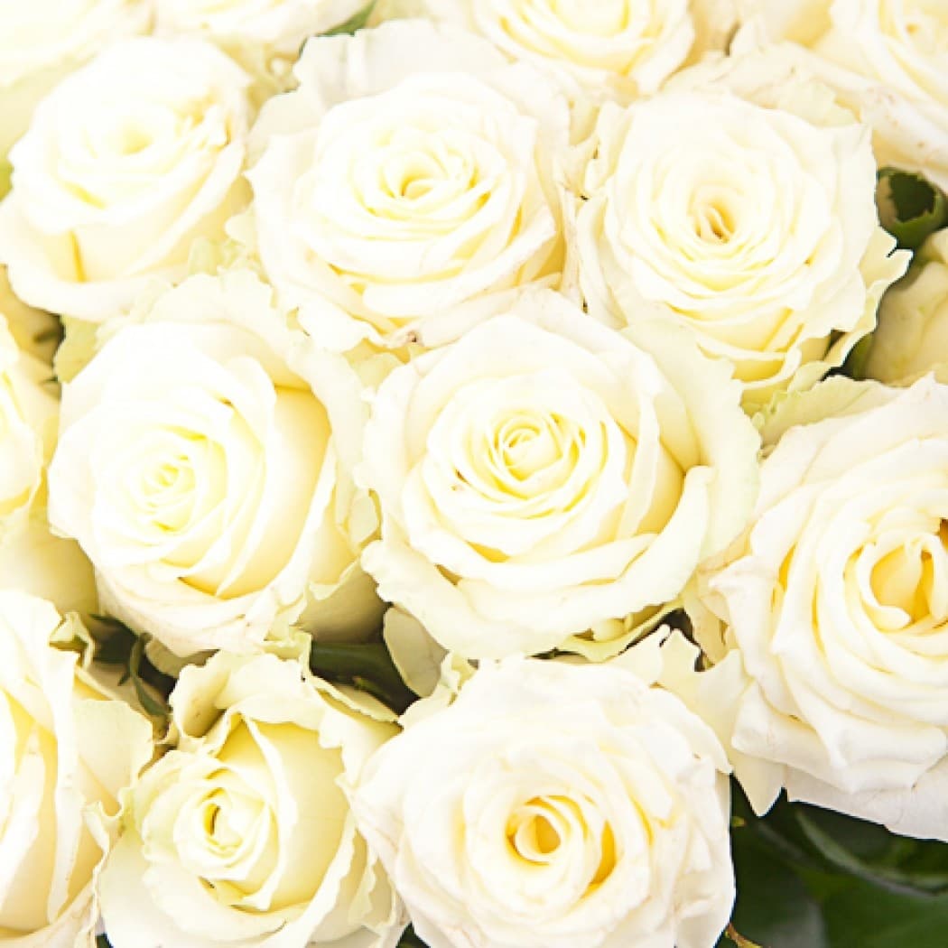 Букет из 75 роз 60 см