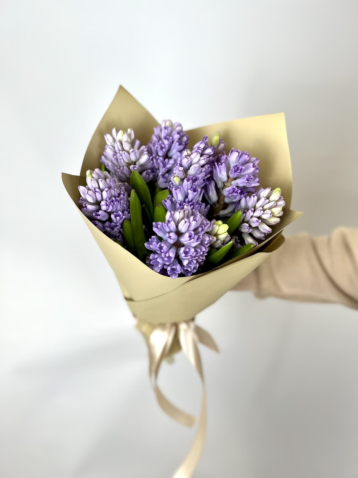 Букет из 9 Гиацинтов в матовой бумаге