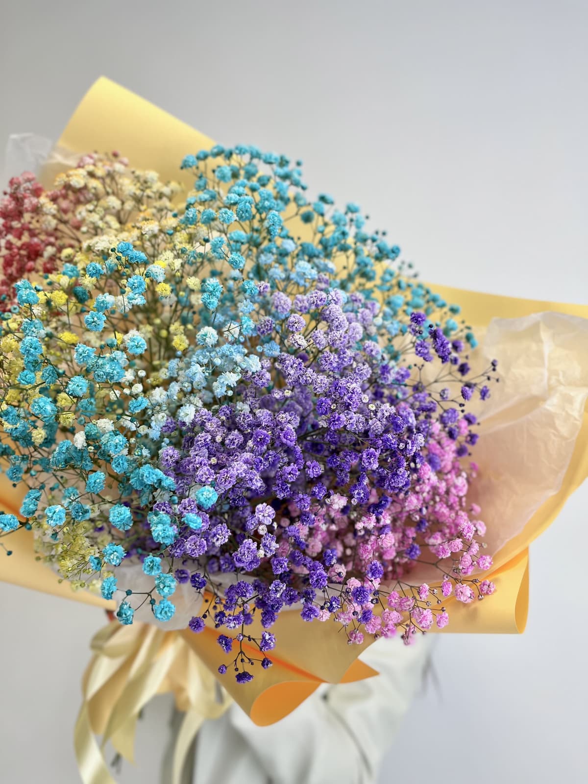 Праздничный букет из 9 радужных Гипсофил в матовой бумаге