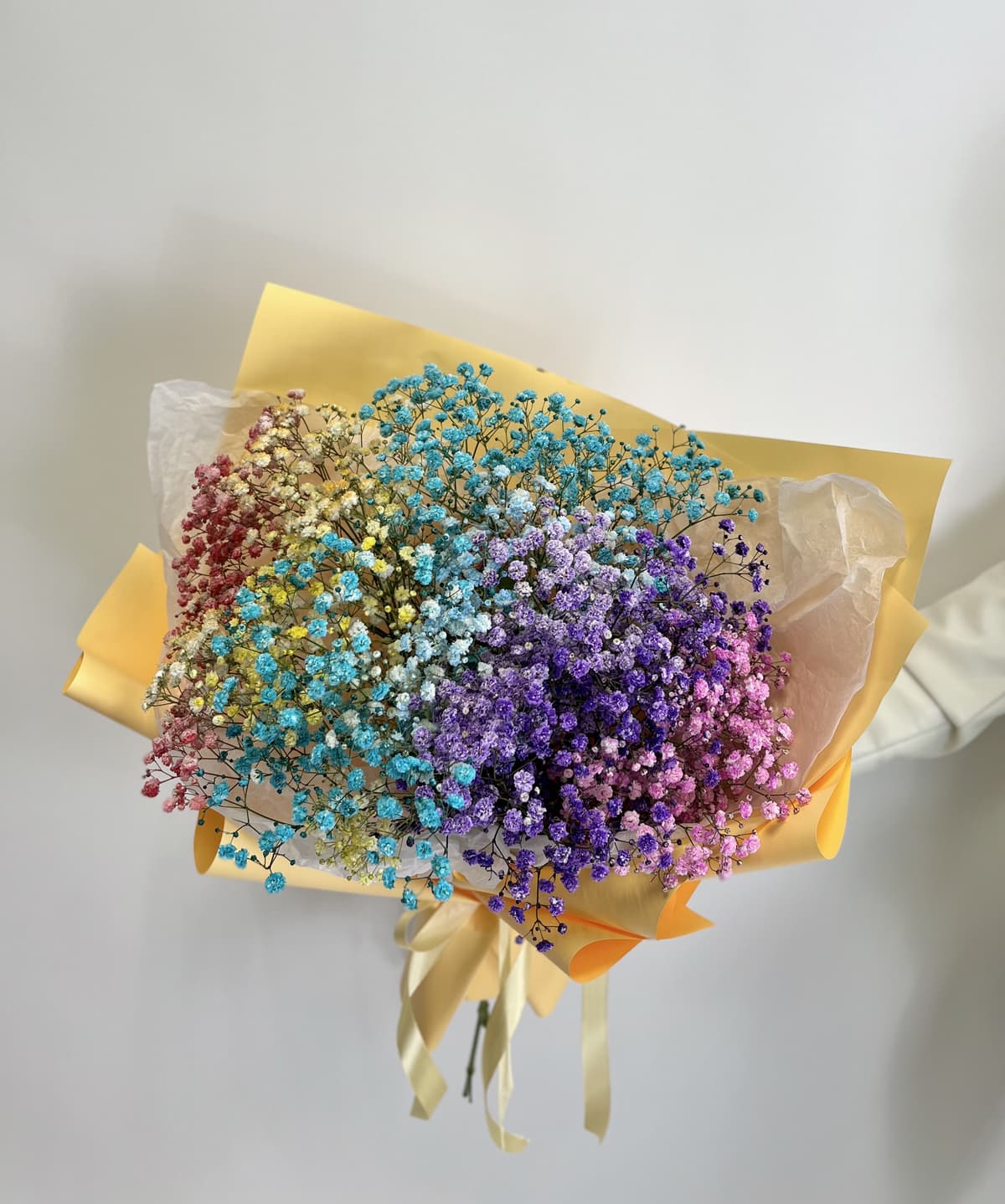 Праздничный букет из 9 радужных Гипсофил в матовой бумаге