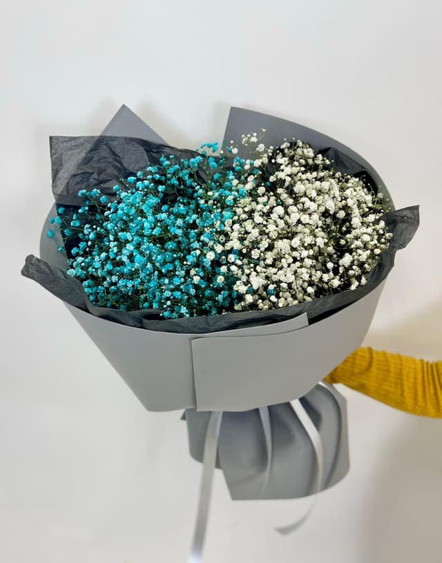 Шикарный букет из белой и цветной Гипсофилы Шикарный букет из белой и цветной Гипсофилы