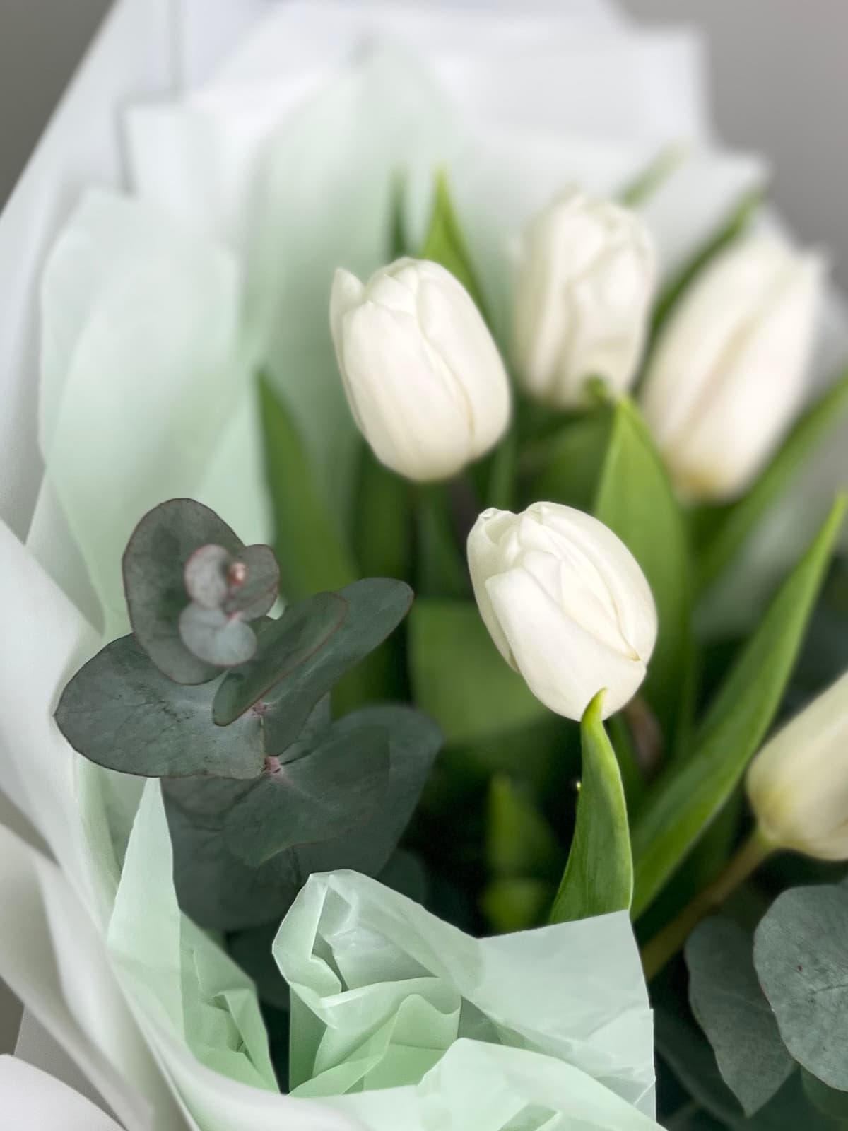 Букет из белых тюльпанов "Поцелуй весны" (9)