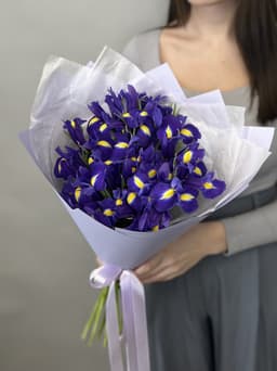 Букет из ирисов "Blue Magic" M