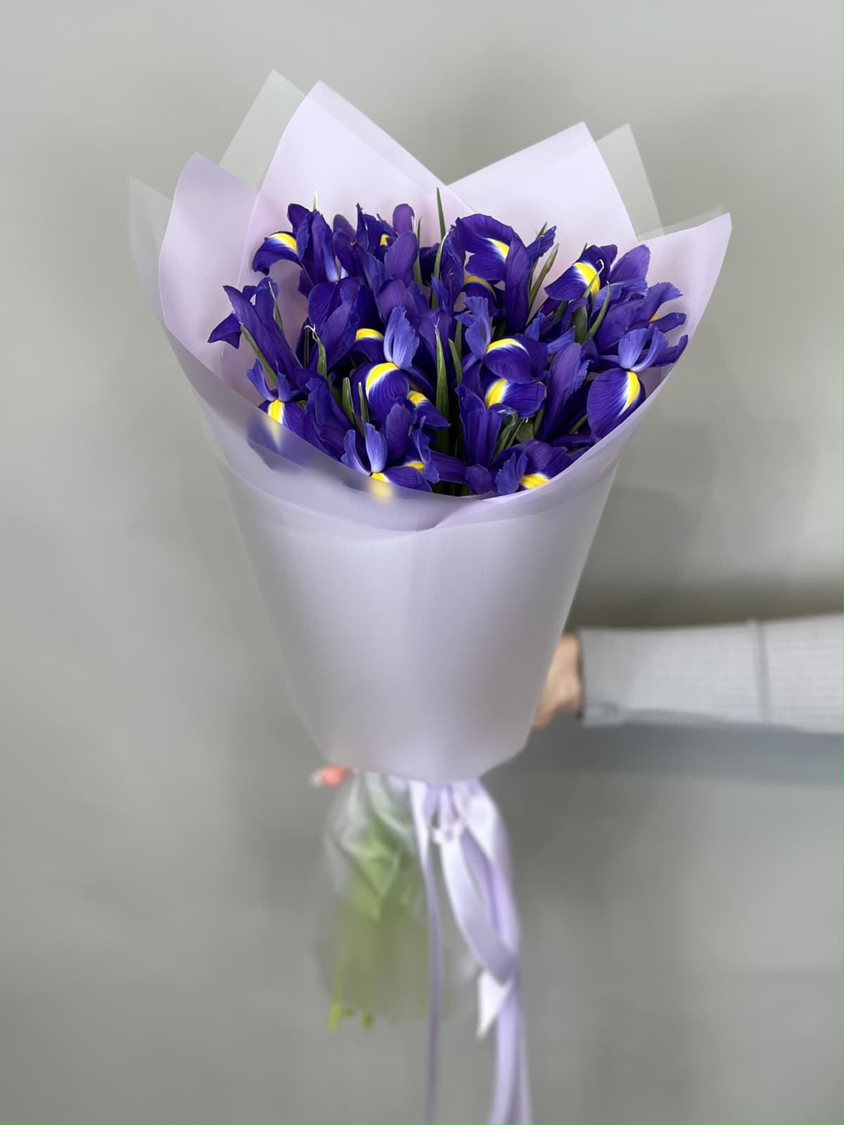 Красивый букет из ирисов "Blue Magic" S