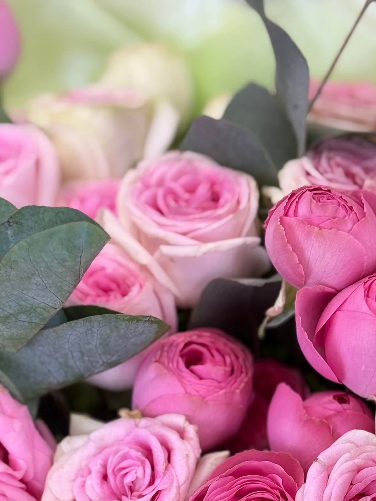 Букет из кустовых пионовидных роз "Fairy" S