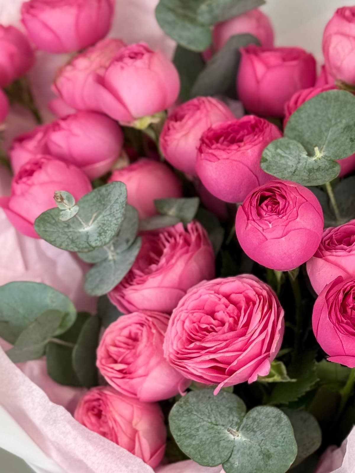 Букет из кустовых пионовидных роз "Ягодное конфи" M