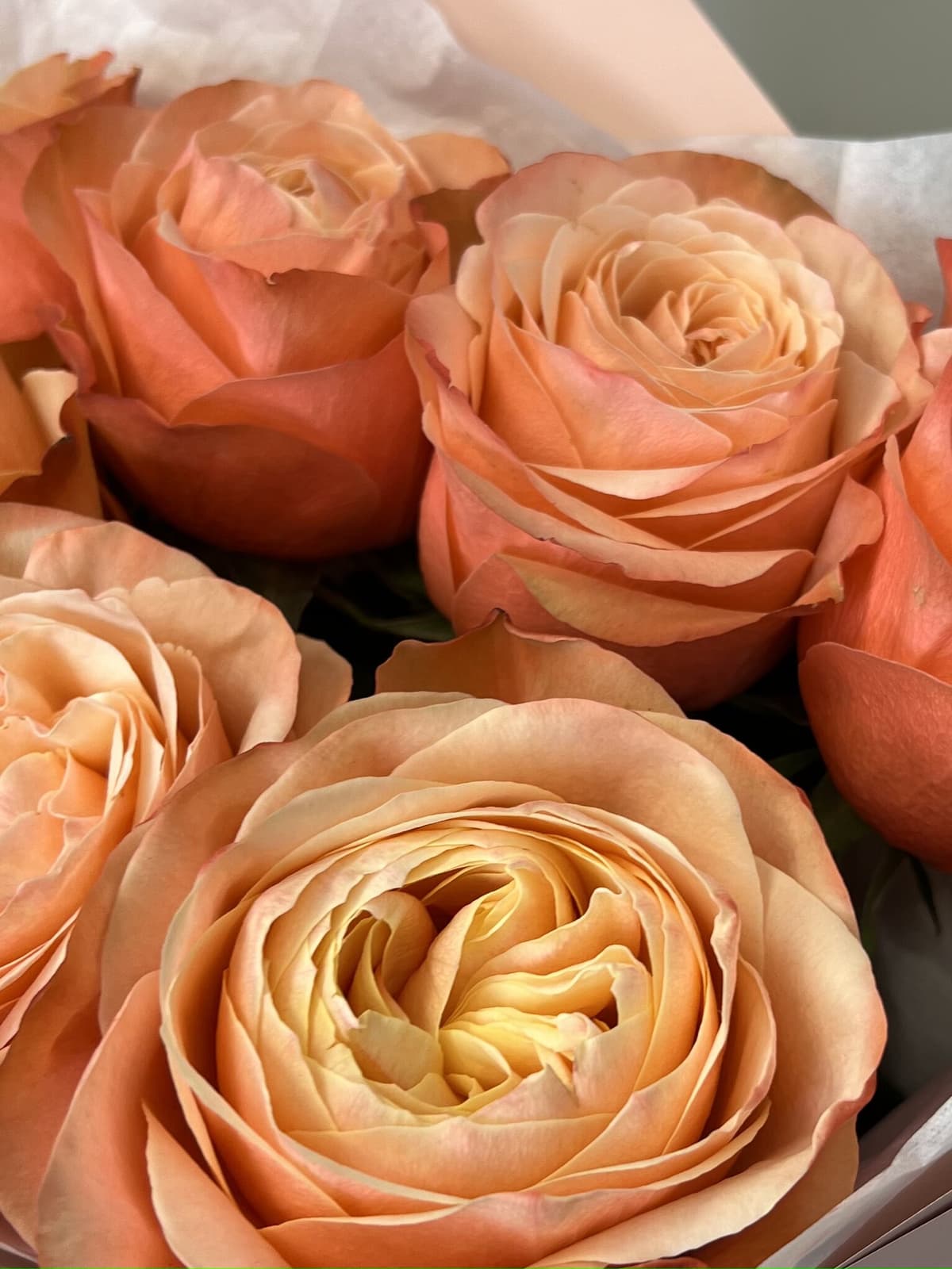 Букет из пионовидных роз "Кахала" (7)