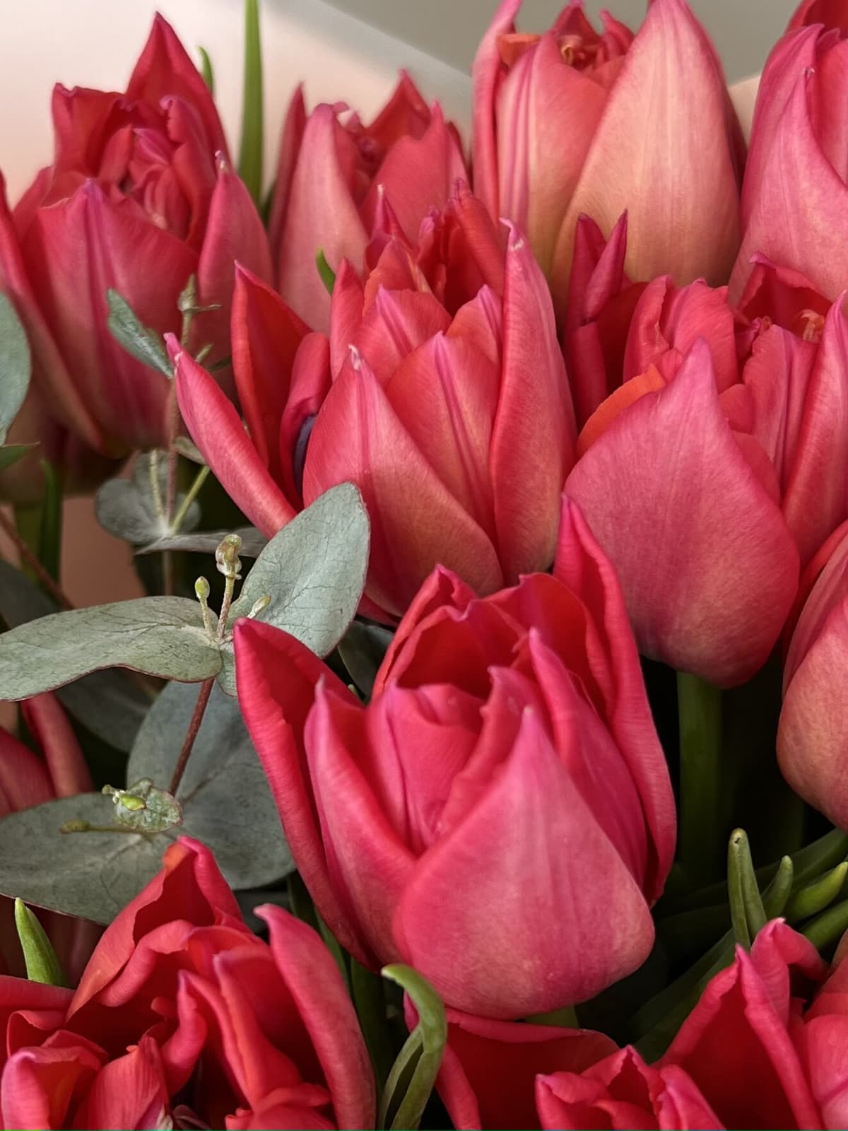 Букет из пионовидных тюльпанов "Raspberry" S