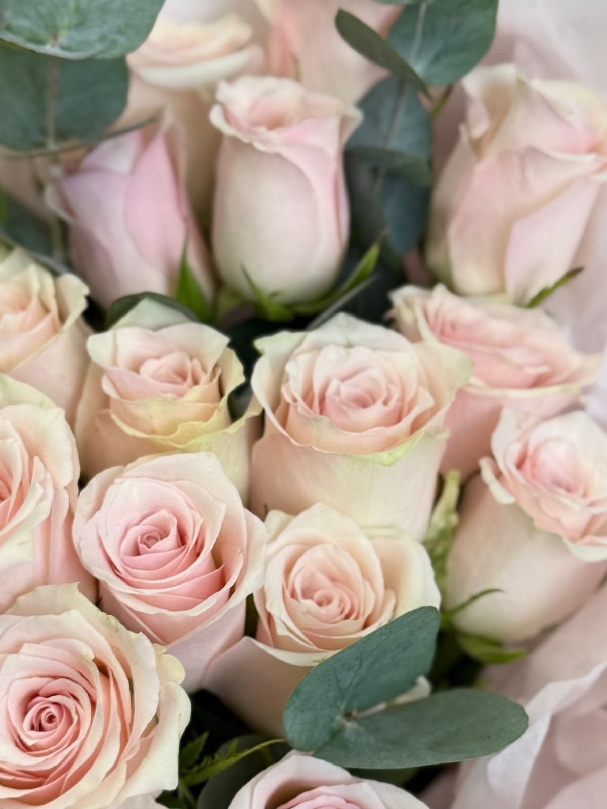 Букет из розовых роз кения "Pink athena" L