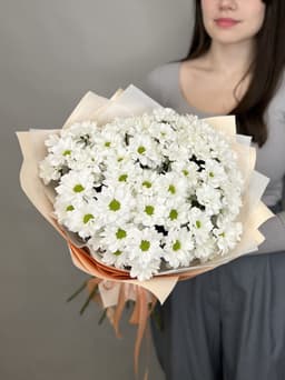 Красивый букет хризантем "Бакарди" M