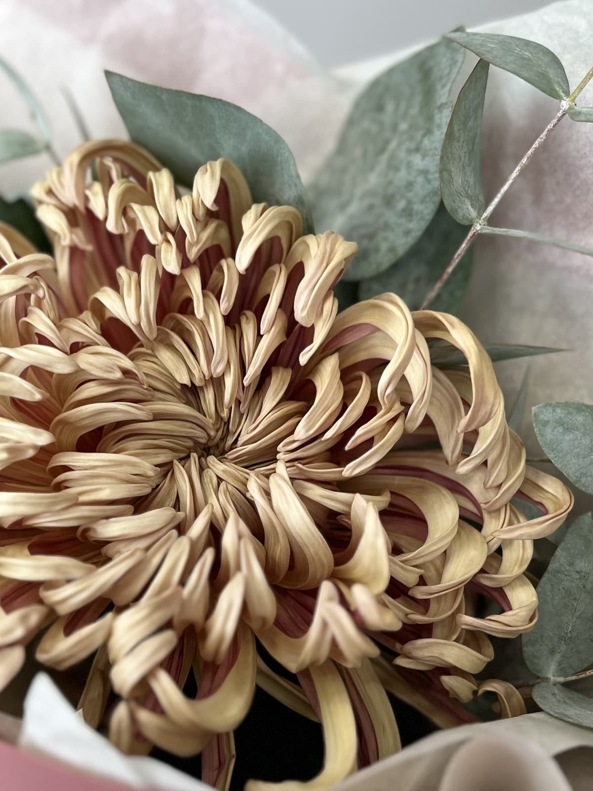 Дизайнерский мини букет хризантем "Медь"