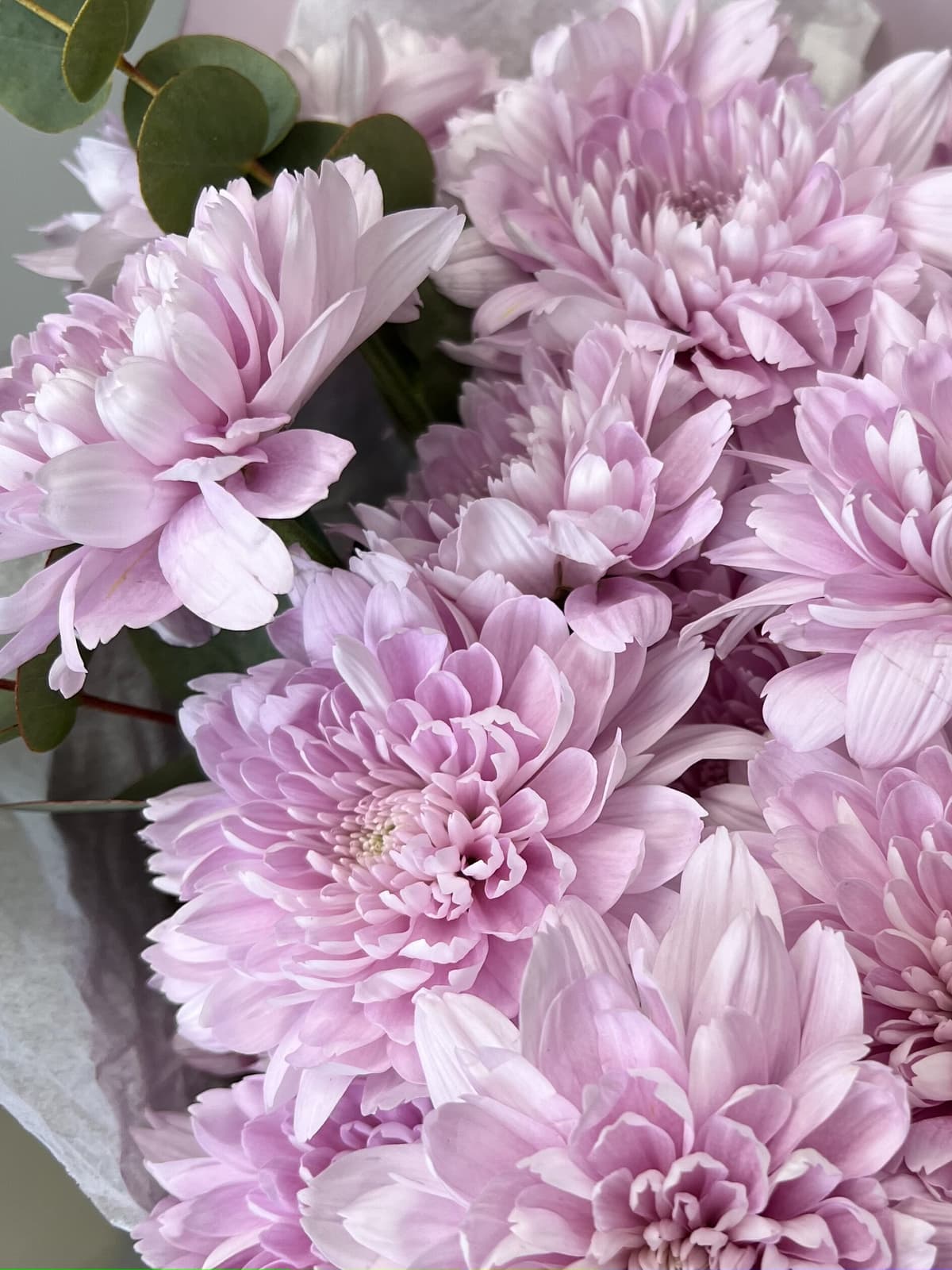 Дизайнерский букет хризантем "Лавандовый"