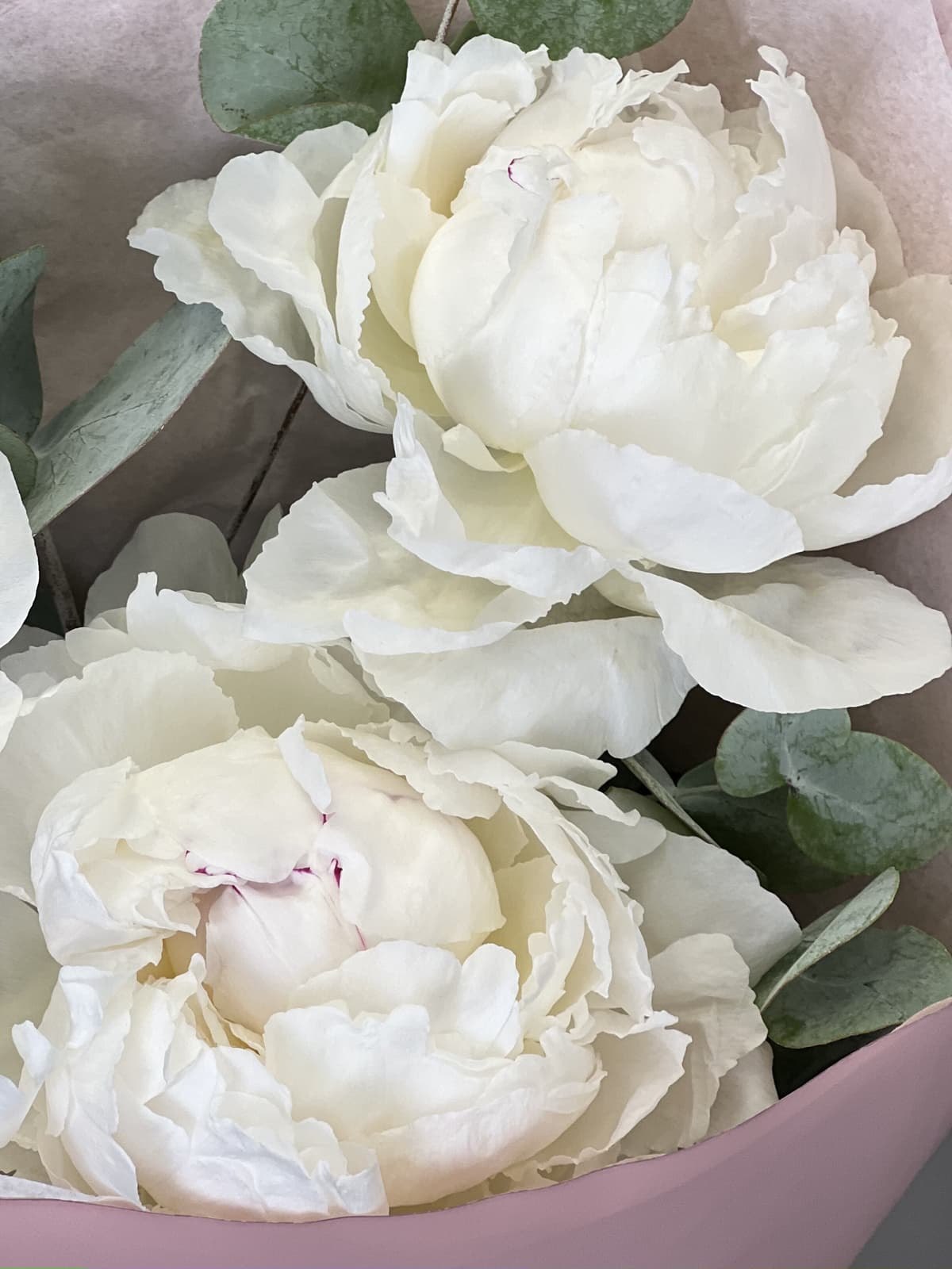 Букет-комплимент пионов "Одиль"