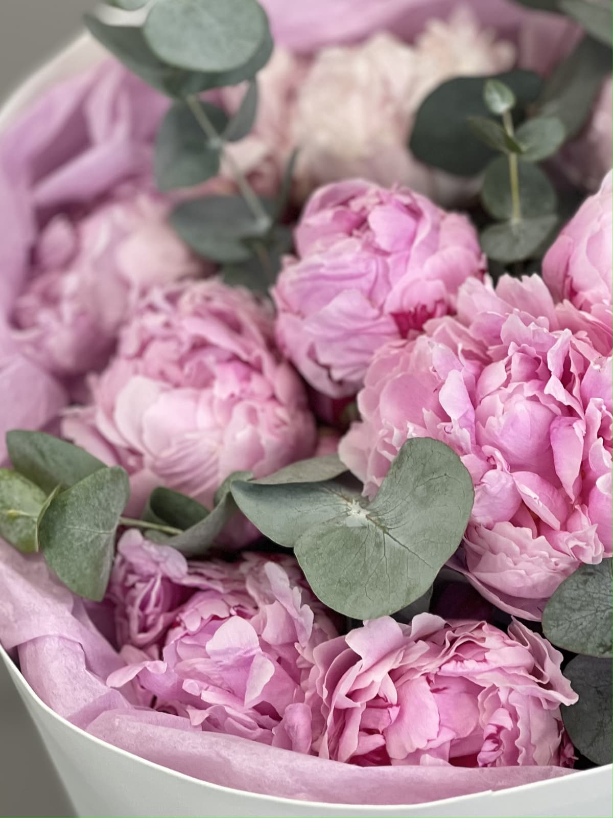 Букет пионов "Пушистый розовый"