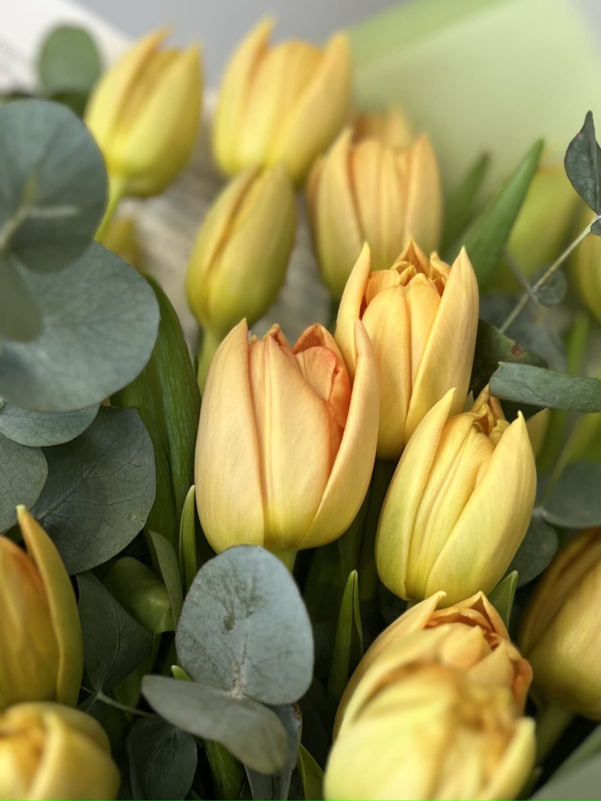 Букет пионовидных тюльпанов "Orca" M Проспект