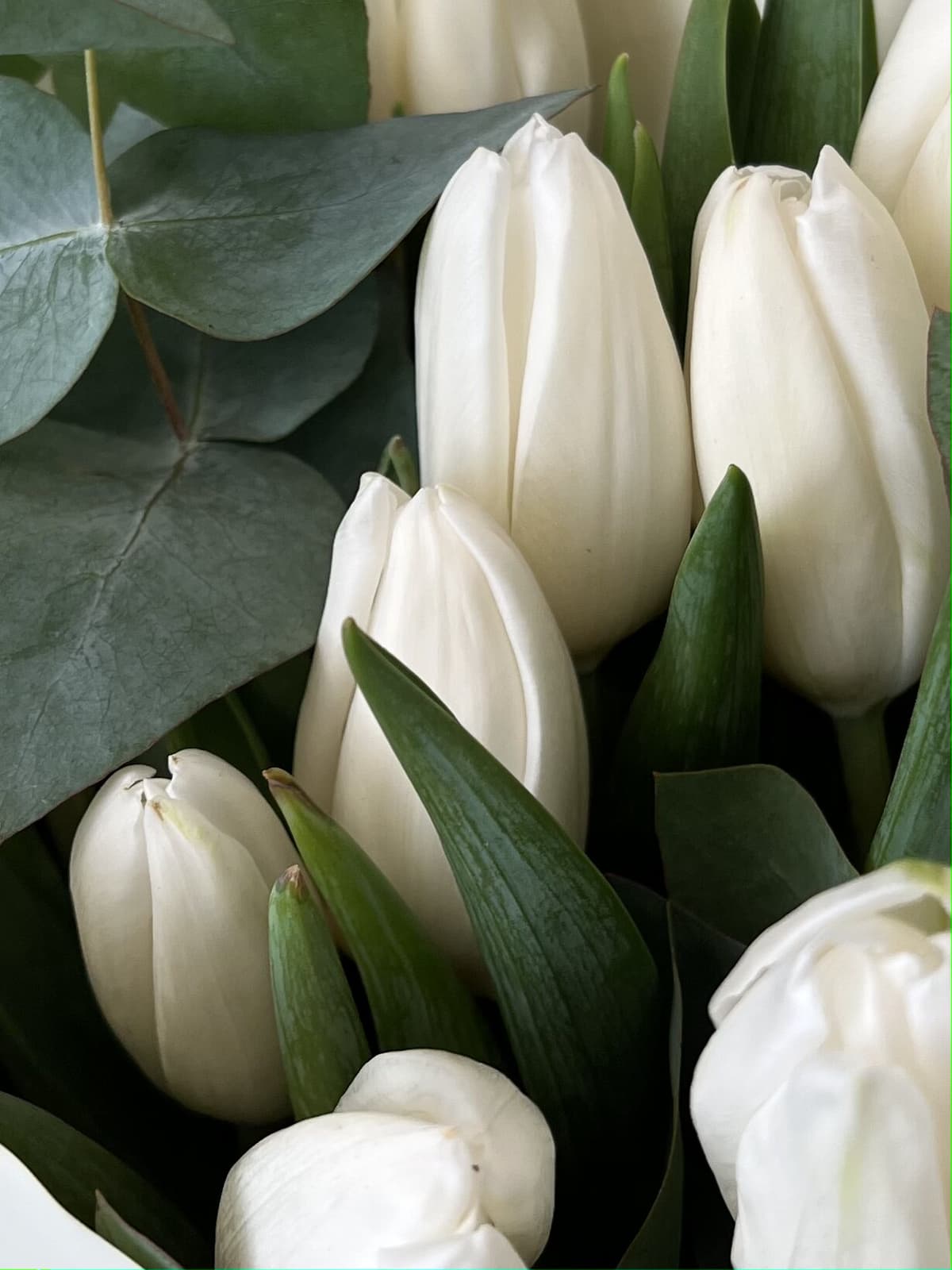 Букет "Привет весна" белый Бикбая