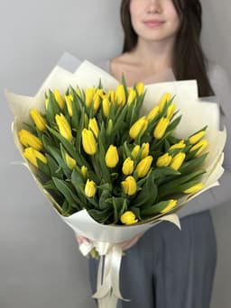 Букет из 51 желтого тюльпана "Золото" (51)