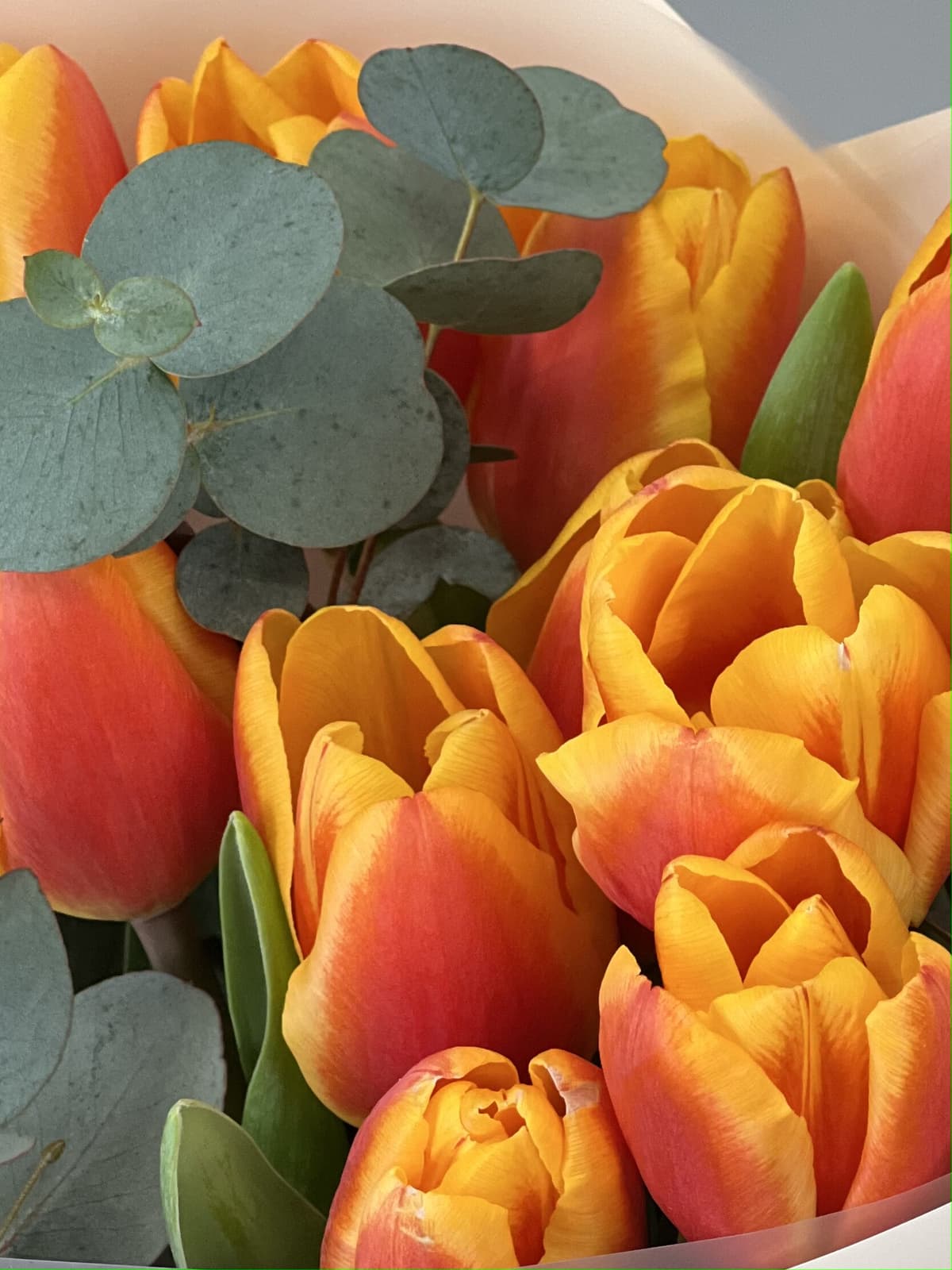 Оригинальный букет тюльпанов "Nemo" S