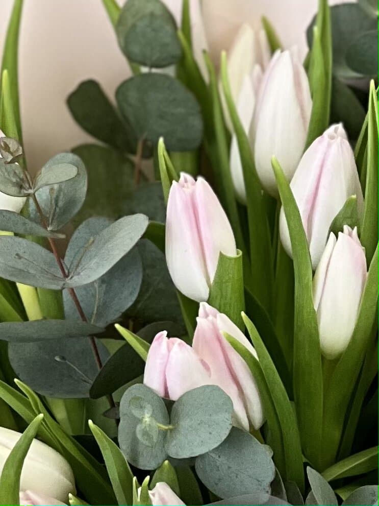 Свежий букет тюльпанов "Розовый" (7)